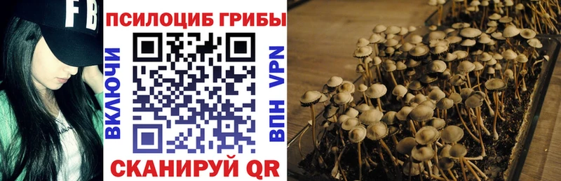 Псилоцибиновые грибы Psilocybine cubensis  MEGA зеркало  Островной  наркота 